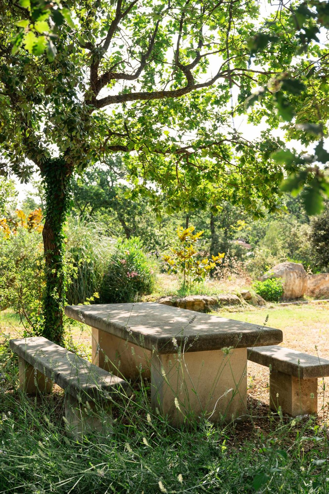 Maison D'Etienne ลาคอสต์ ภายนอก รูปภาพ